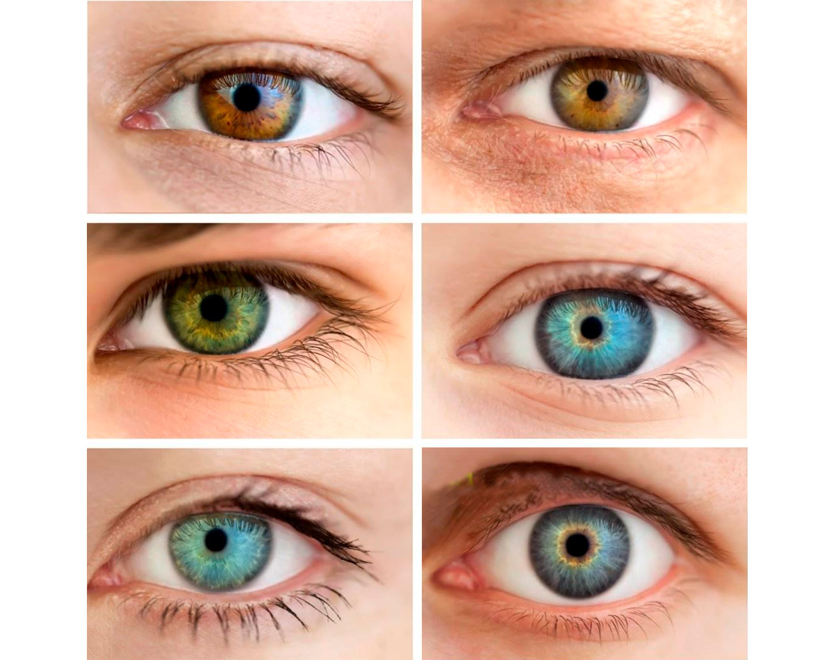 Iridology-Van-Uden-Center-New-York-e