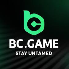 Complete Guide to BC.Game Registration -258740827 Complete Guide to BC.Game Registration -258740827