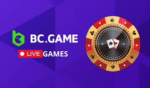 Explore the Features of the Official BC Game App